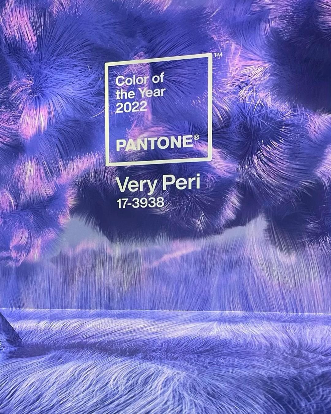 Barvou roku 2022 je dle Pantone fialová