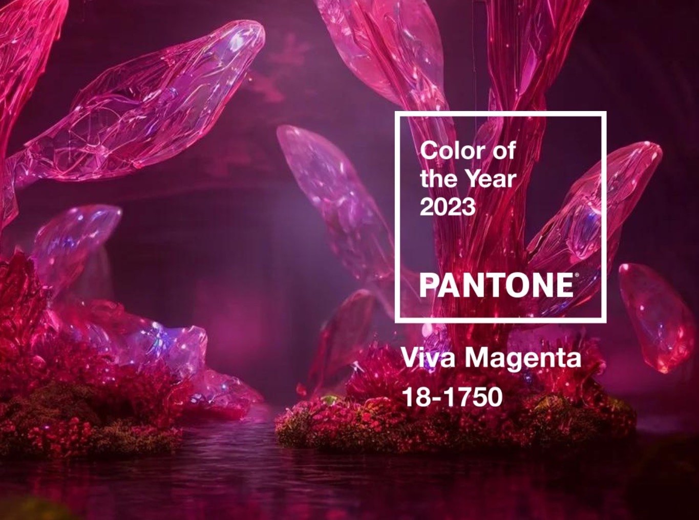 Barvou roku 2023 je dle Pantone karmínová Viva Magenta
