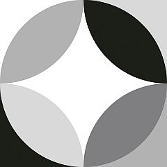 Circular Black & White 20x20 - hladký dlažba mat, mix barev barva