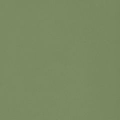 Zepto Verde 13X13 - hladký obklad mat, zelená barva