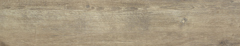 Shireen Taupe 23x120 - hladký dlažba mat, hnědá barva