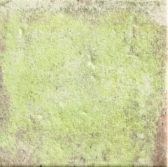 Tempo Moss 11x11 - hladký dlažba i obklad lesk, zelená barva