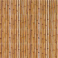 Bamboo avatar